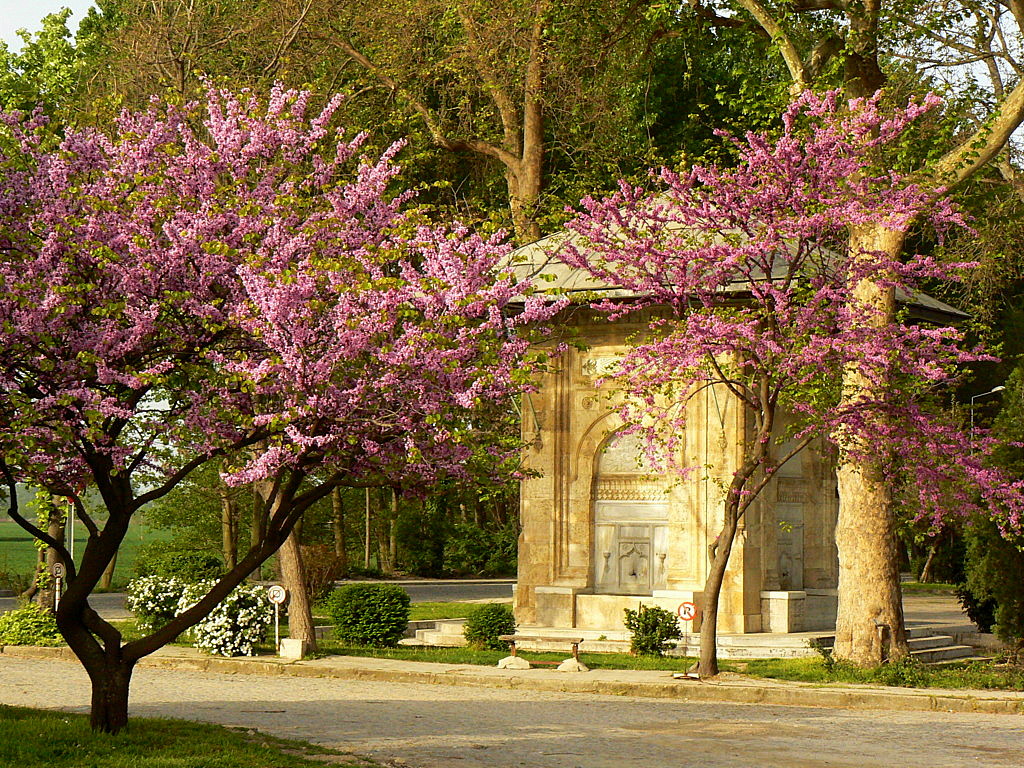 Edirne
